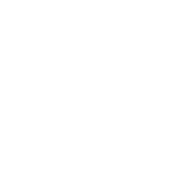 walkie-talkie
